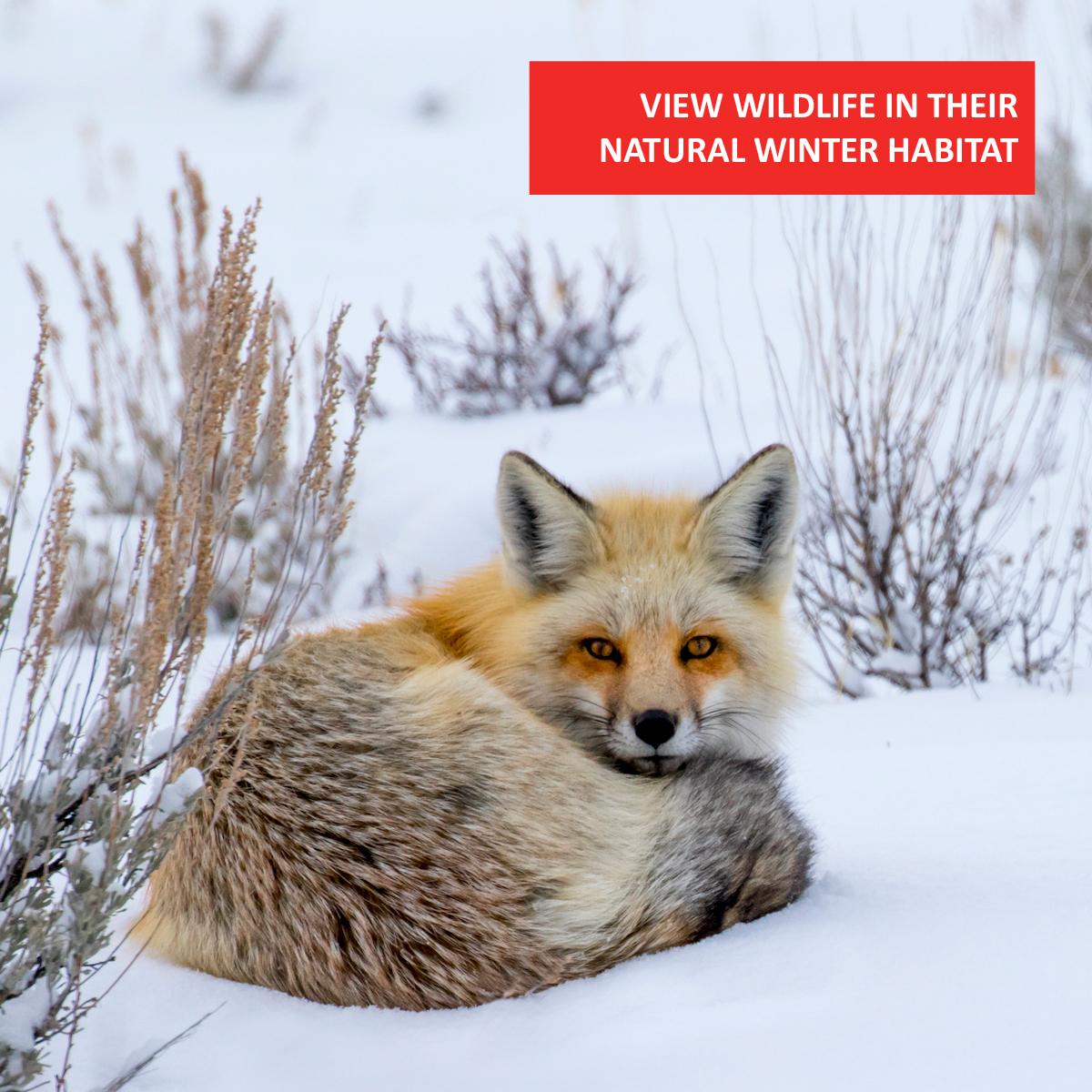 HISTORY Travel tweet media