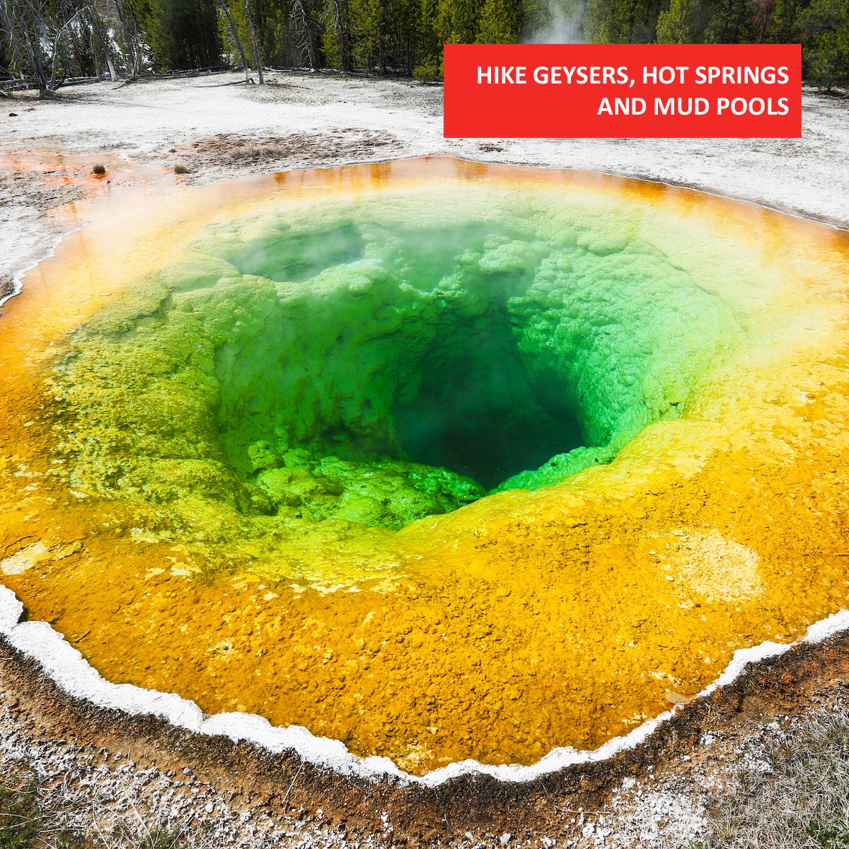 HISTORY Travel tweet media