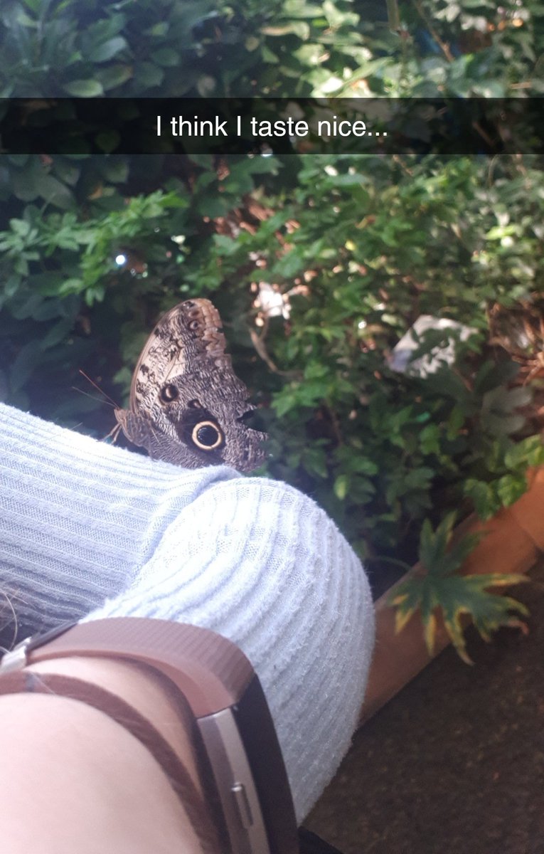 WorleyImogen's tweet photo. Had a great birthday @ZSLWhipsnadeZoo! Made a few new friends and had a great day out! #birthdaygirl #Libras #zoo #October6th #celebration #animals #Outdoors https://t.co/hidMbJBn3Q