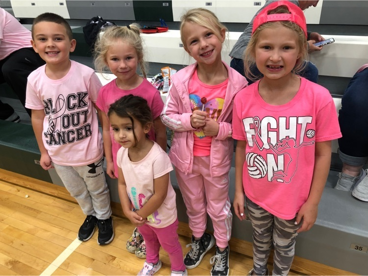 MrScott_Minerva's tweet photo. Malvern Volleyball- Block Out Cancer Game! Go Hornets! #MalvernPride https://t.co/0MoZSITWTr
