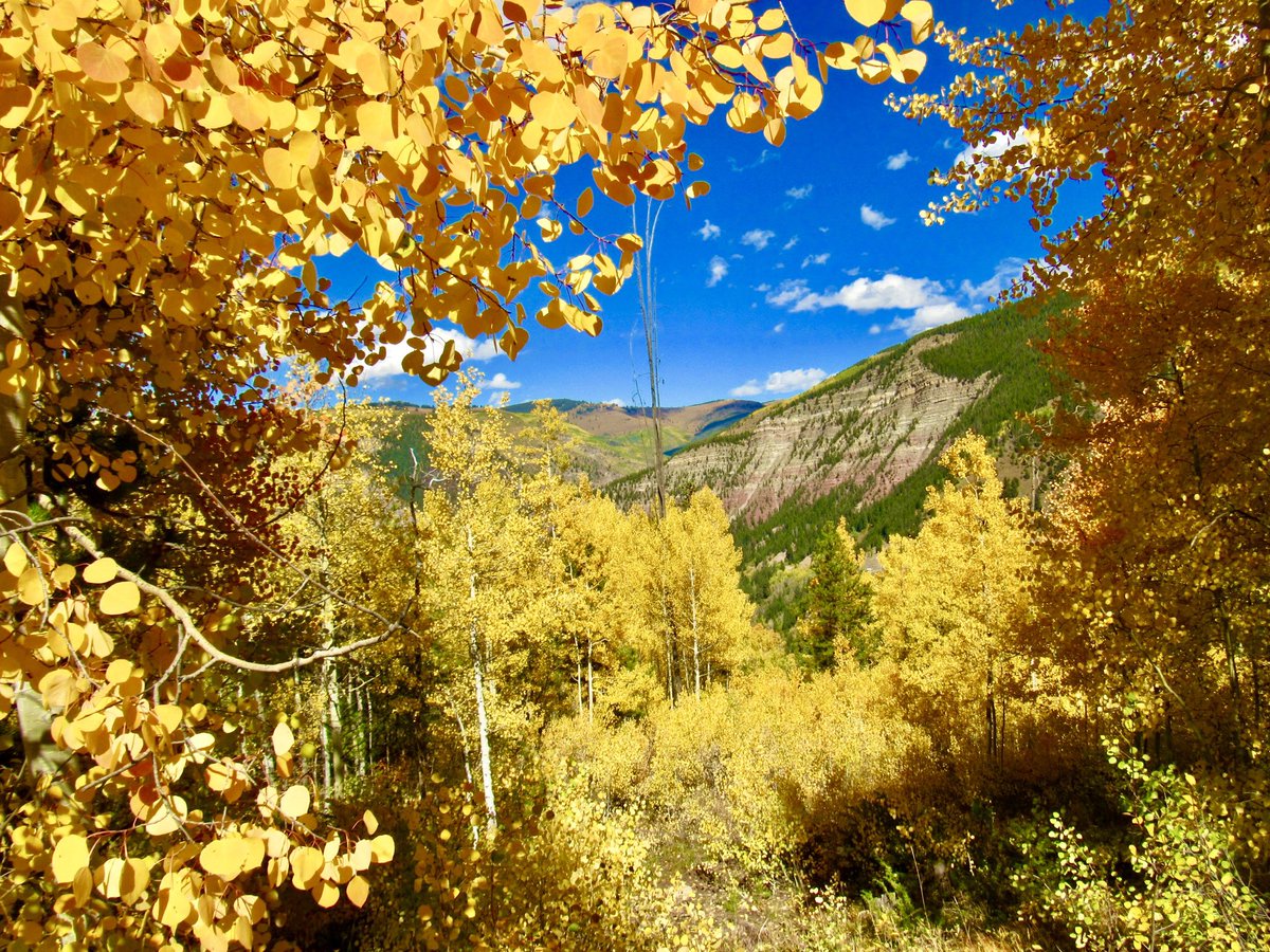KyleCinVail's tweet photo. Golden floors, golden windows, and not a single mortgage payment necessary to have ‘em. Welcome home. #FallCOLORado🍂 https://t.co/vIk9U4LY0P