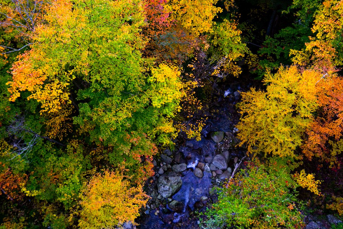 MiddleStegenga's tweet photo. Fall colors of New Hampshire #vanlife #fallcolors #NHfall #peakseason #AutumnVibes #roadtrip https://t.co/C2PLGtAyeD