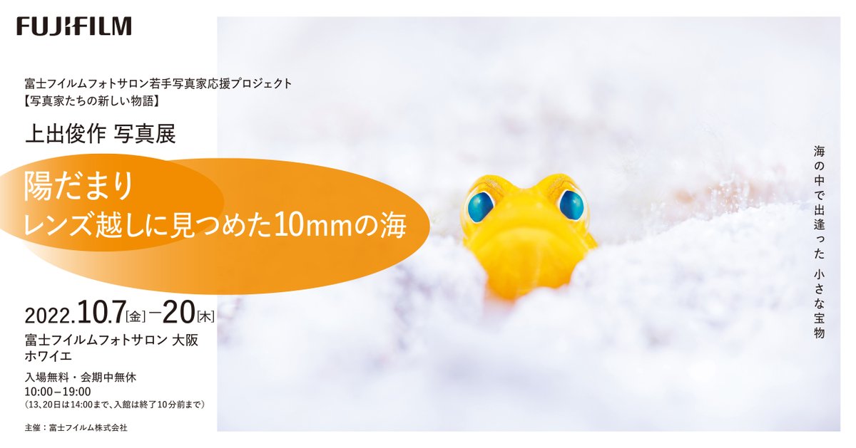 shunsakukamide's tweet photo. 本日10/7から「陽だまり レンズ越しに見つめた10㎜の海」大阪巡回展がスタートします。
ぜひお気軽に遊びにいらしてください！

■在廊予定
10/7（金）～10/11（火）※10/11は15時以降不在
10/14（金）～10/20（木）※10/14は13時まで不在

富士フイルムフォトサロン大阪HP↓
https://t.co/eAk3l1pTOJ https://t.co/yYbgVx6yK0