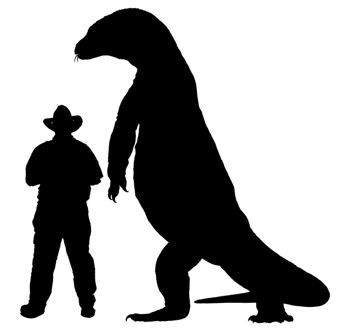 qldmuseum's tweet image. How would we have measured up against Megalania the world’s largest land-dwelling lizard? At 6m long we would&apos;ve looked very small beside this giant goanna from ancient QLD. Learn more: bit.ly/3TTHF7N
📷 Dr Scott Hocknull @Aussiedinosaurs 
Supported by @BHP #ProjectDIGQM