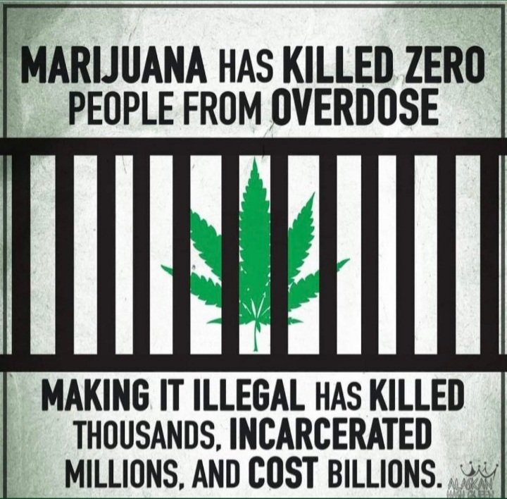 JamesKubla's tweet photo. @KDKA We should have Adult Use Cannabis in PA like NY has Ending Racist Outdated Cannabis Prohibition Laws helping all those harmed by these laws. Putting Underserved Farmers &amp; Small Business before Corp Cannabis MSOs To Support Cannabis Prohibition is Anti Patriotic Decriminalize🦅🇺🇸 https://t.co/uOYBvAYG93