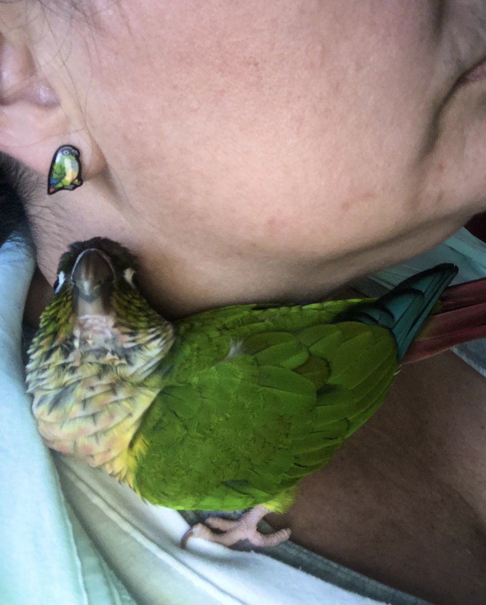 Picasso~GCC tweet media