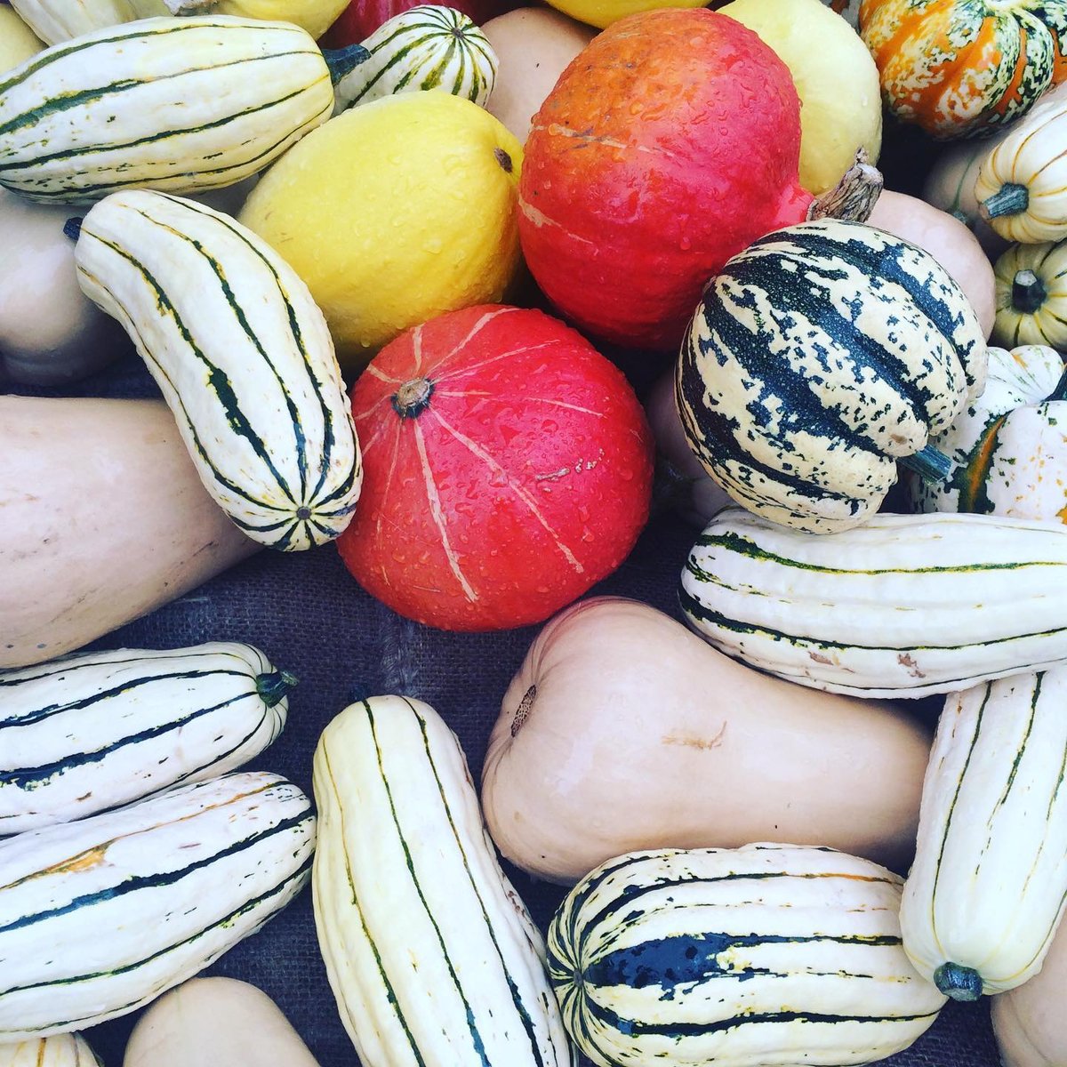 Explore White Rock tweet media