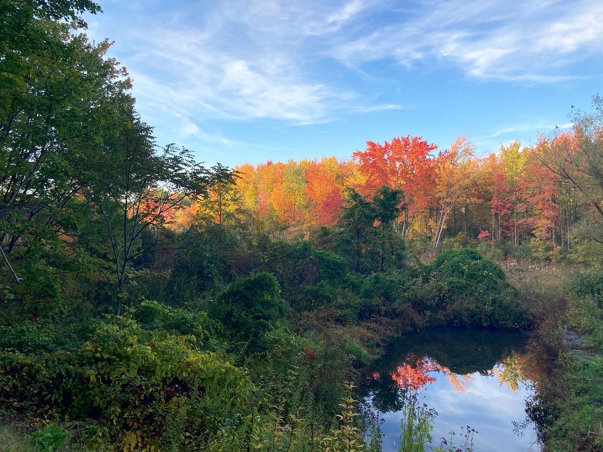 New England Autumn has arrived ✨