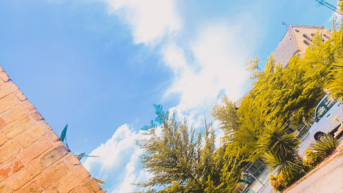 promo_trams's tweet image. Le Petit Séminaire Collège Saint Martial,patrimoine ancestral de la population haïtienne depuis plus de 157 ans. [1/3] #pscsm #haiti #promotrams