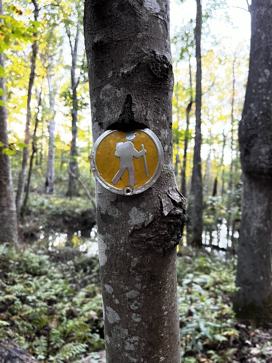MushroomWeekly's tweet photo. The man on the trail sign is ready for Halloween. 🧙 https://t.co/MKLGWBdtiE
