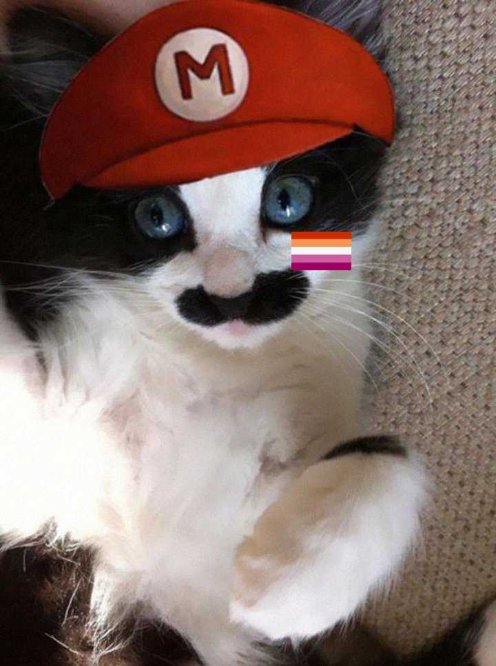 Eu mamdamdo selfie seduzente pra ela 👇👇👇👇👇 (ela e safada e gosta)