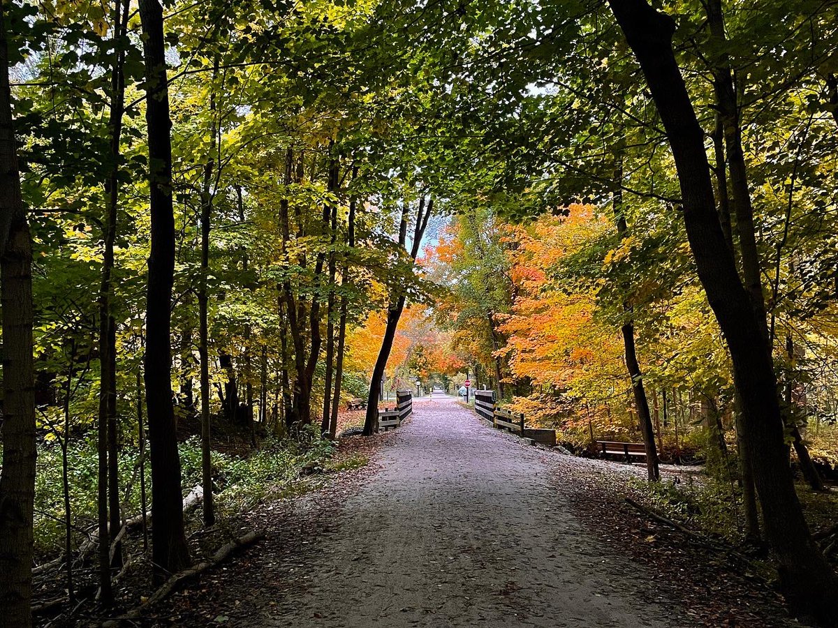 reidphotography's tweet photo. It’s getting really good on @paintcreektrail now. 😃

#PureMichigan https://t.co/uS2WO77rqy