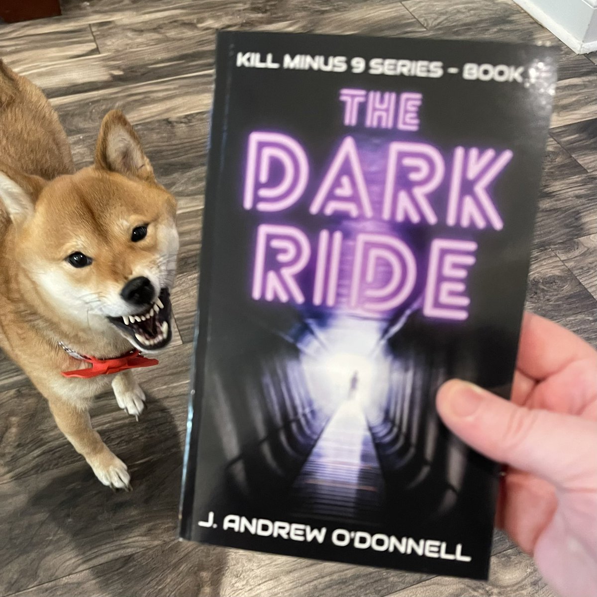 AuthorJAndrewO's tweet photo. Our dog is hyped about the release of my #Cyberpunk #Horror novel: The Dark Ride. This is her best @StephenKing’s Cujo face. It’s out NOW on #Kindle and paperback. #horrorbooks https://t.co/i4kIjXFh5k