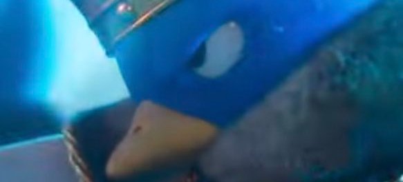 King Dedede tweet media