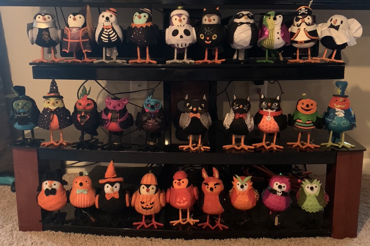 bdjohnson0627's tweet photo. #Halloween2022 is here! https://t.co/mTqq05X1i8