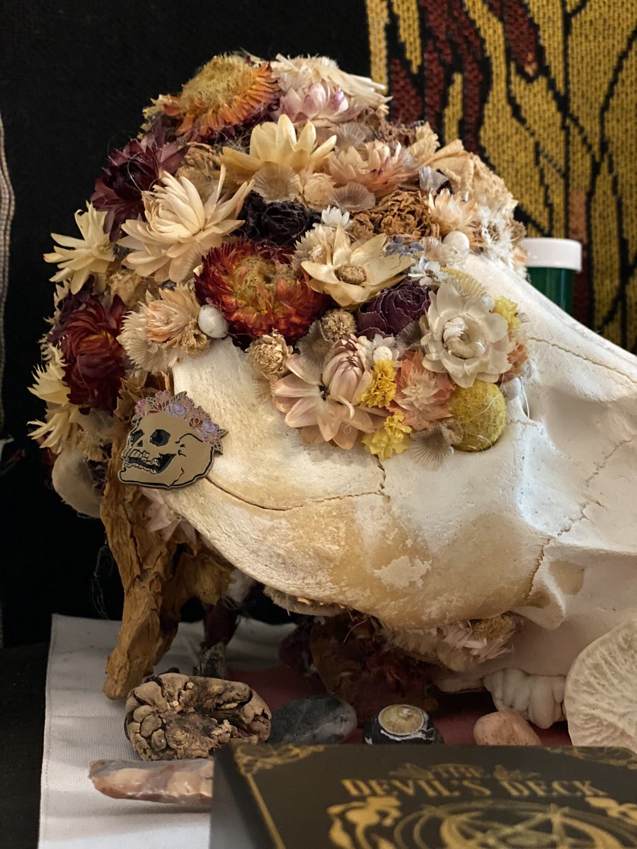 🜏 Drew 🏳️‍⚧️ tweet media