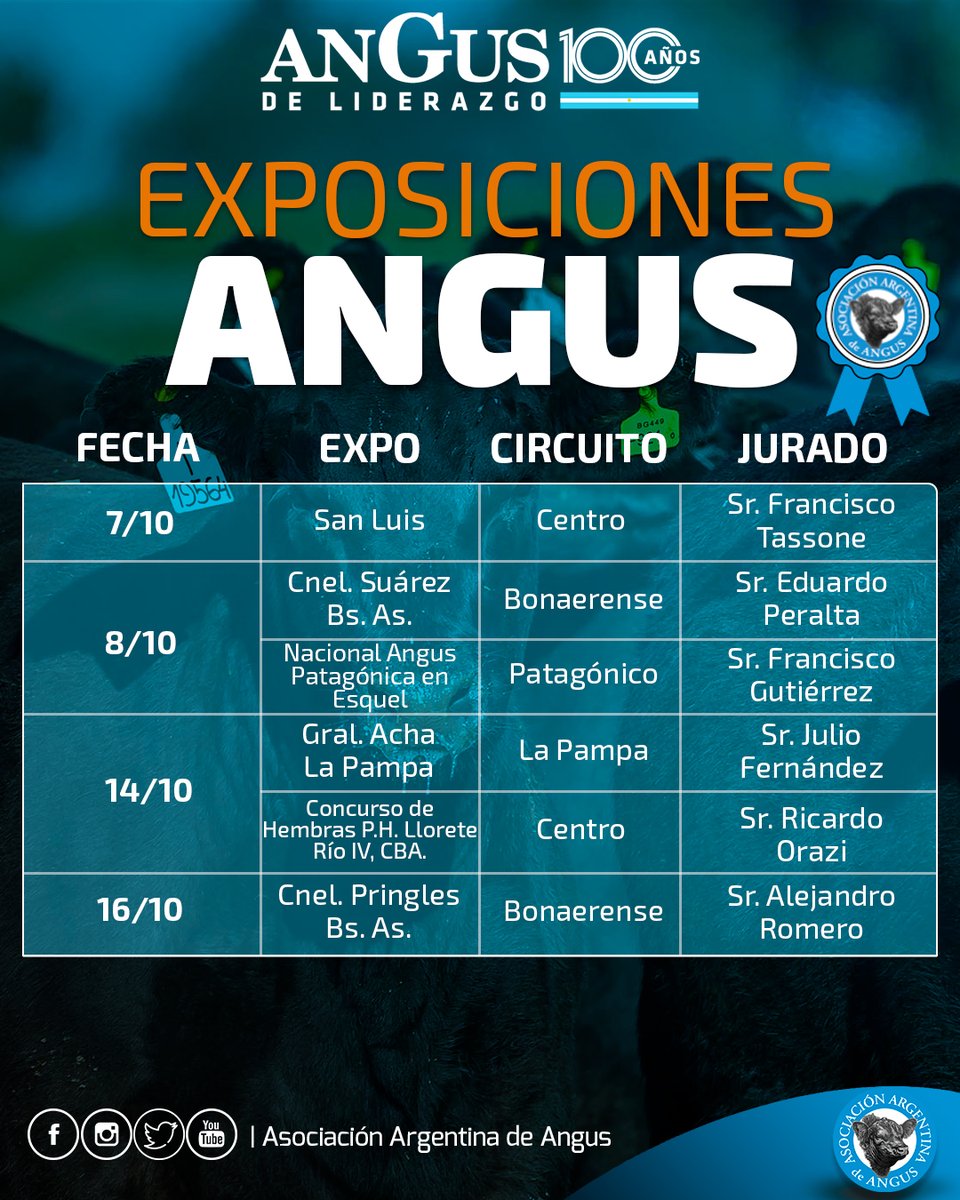 Angus Argentina tweet media