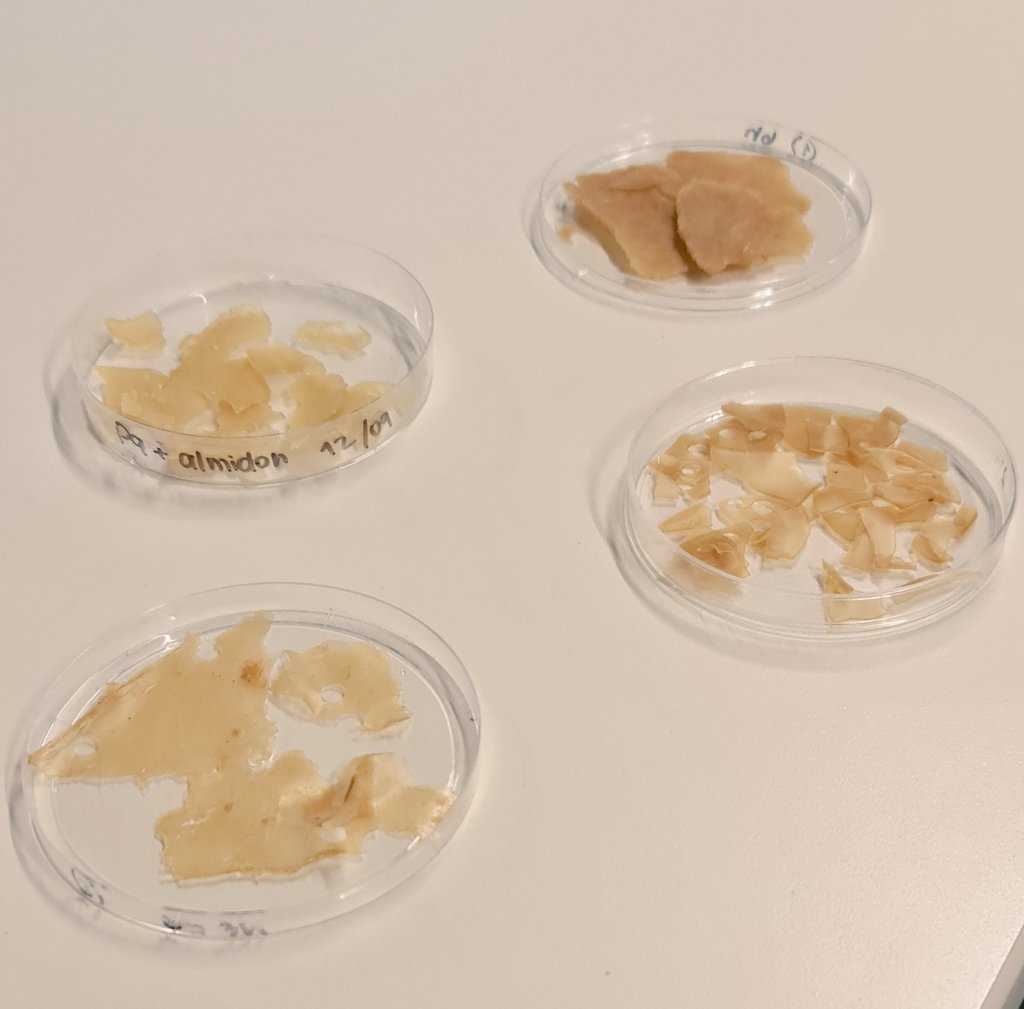 Acuamaya's tweet photo. Trabajo en equipo @Acuamaya - @uvggt 🦐🔬🥼🇬🇹👍
Investigación para la extracción y utilización de #quitosano del #camaron para generar soluciones prácticas de mercado
#economiacircular #sostenibilidad #colaboracion https://t.co/dvoArNAaej