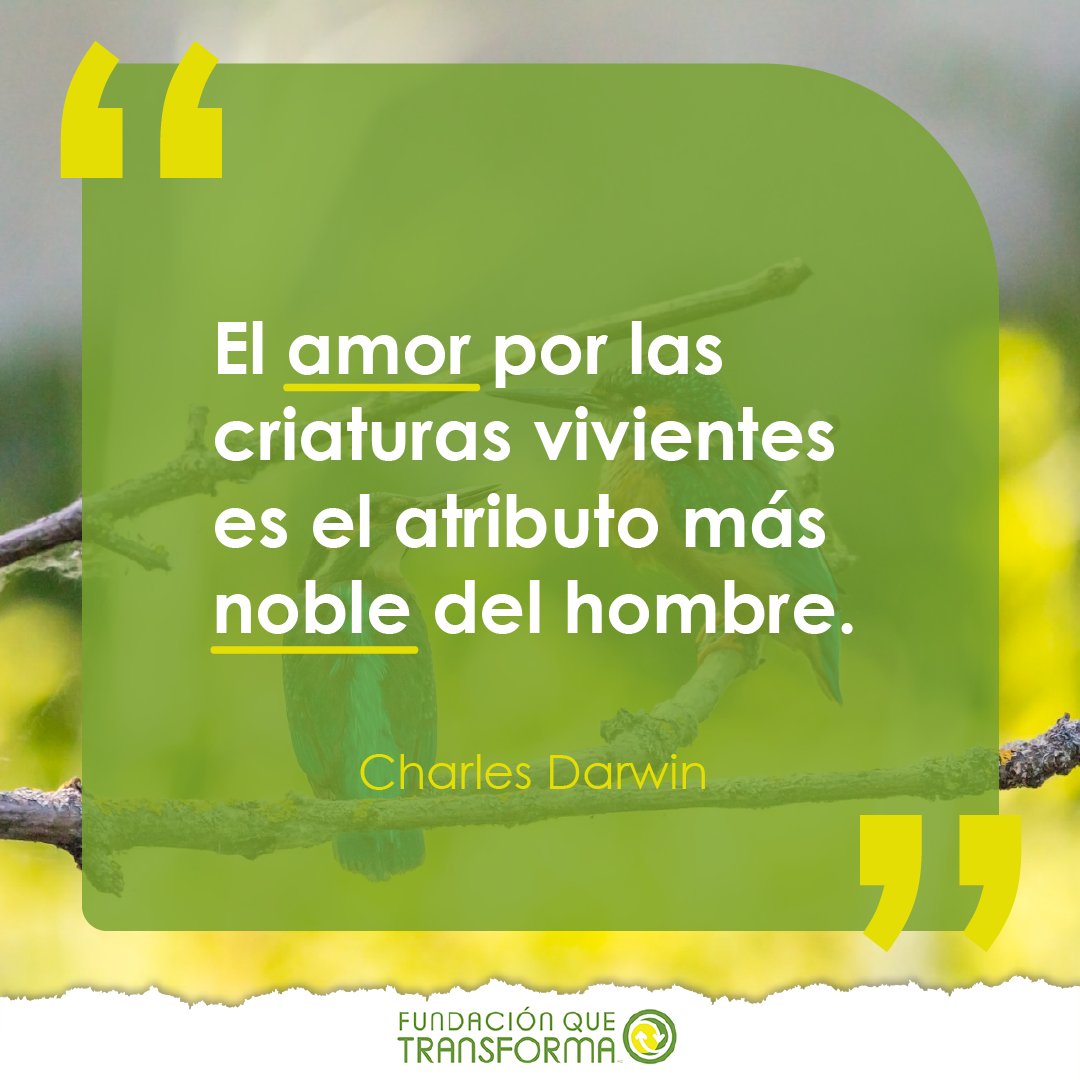 FQTransforma's tweet photo. En Fundación Que Transforma octubre es el mes de los animales. 🐾

Es importante promover la preservación y protección de los animales, cuidar su vida y su hábitat es también cuidar a los seres humanos y a toda forma de vida. 

¡Súmate! Seamos más #CiudadanosConsciente https://t.co/hKaZkwXjoI