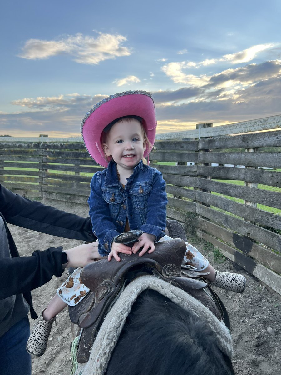 paygenicole18's tweet photo. How stinking cute is my little cowgirl 🐴 https://t.co/iP80aQuWov