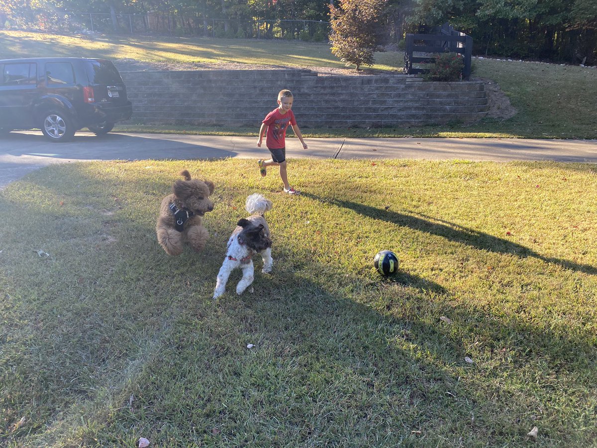 MrsLoden's tweet photo. Puppy soccer this evening for #claytonfamilypeweek 🐶⚽️ I think we’re all going to sleep well tonight! #familieslovepe @claytoncougars https://t.co/KfJfkdBtZe