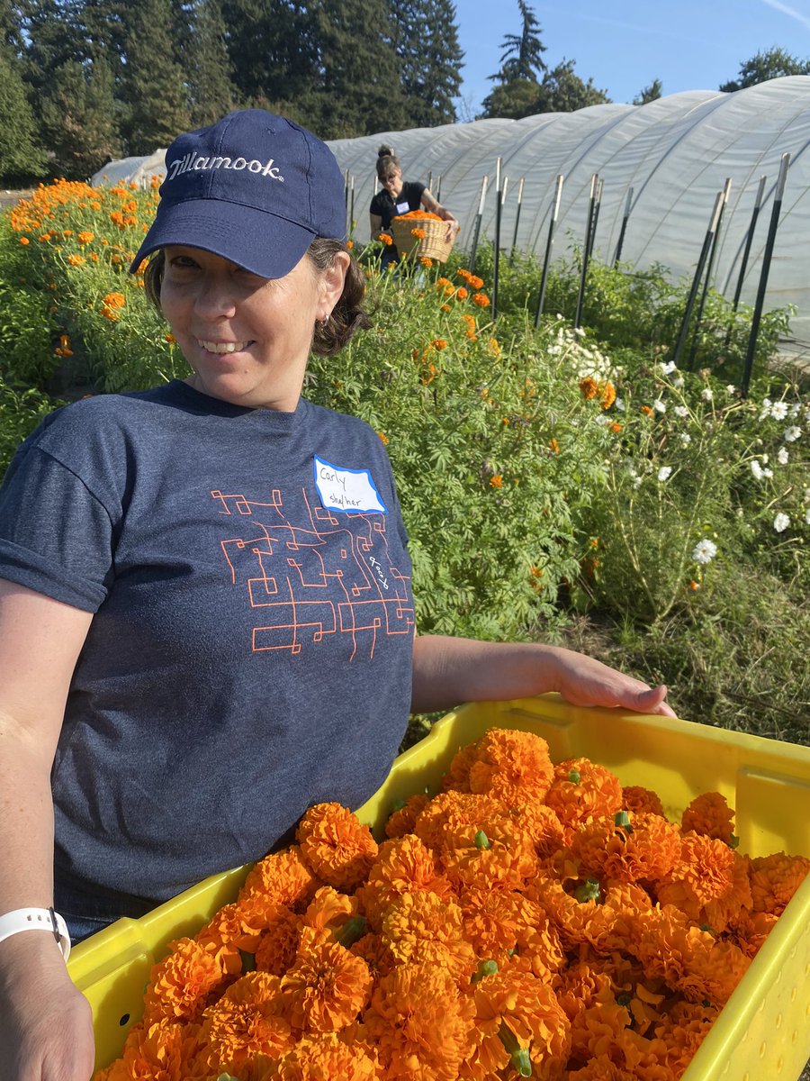 Gray Family Foundation tweet media