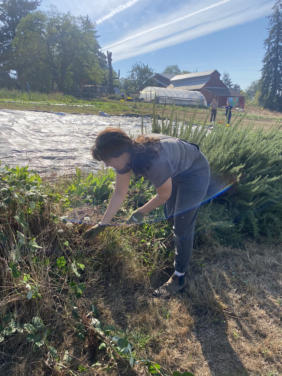 Gray Family Foundation tweet media