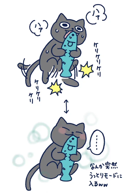 猫ほんとおもろいwww なんで一瞬止まるの??w

#黒猫アルくん #猫飼い初心者奮闘記 