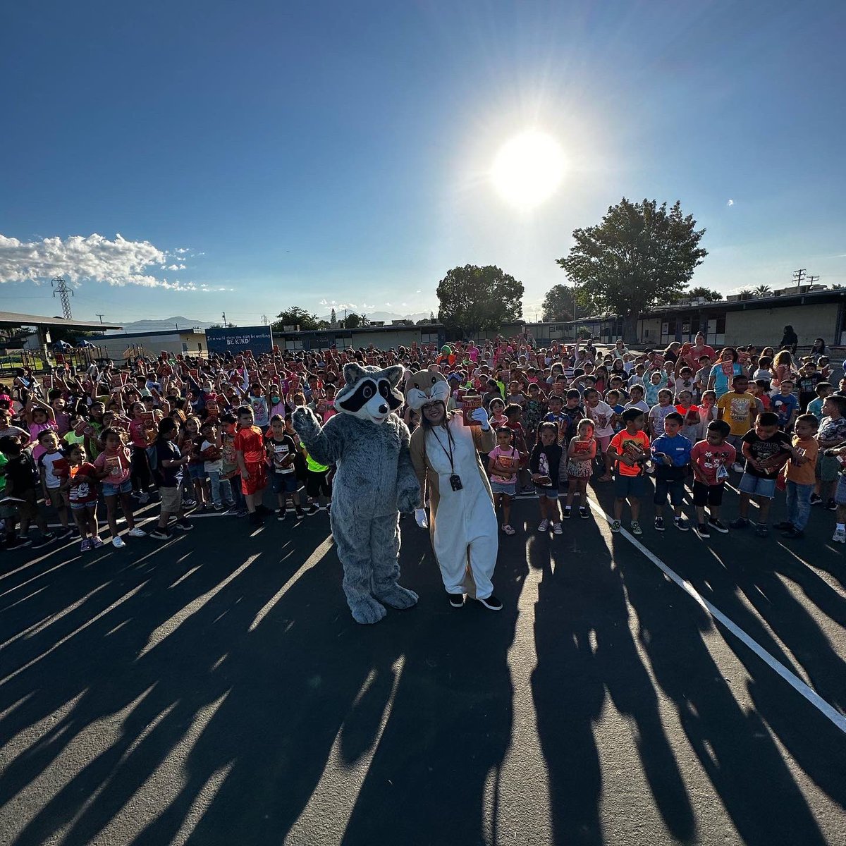 Rogers_CJUSD's tweet photo. ONE School, One book kickoff. We captured this moment with a school-wide photo. All of our raccoons received a copy of “The world according to Humphrey” by @bettybirney #cjusd @ColtonJUSD @readtothem https://t.co/pU11ZP4uii