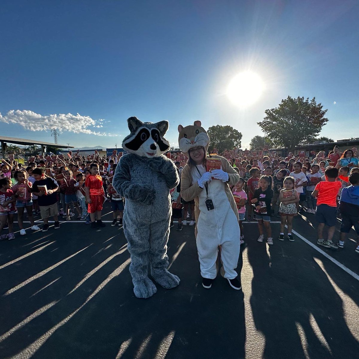 Rogers_CJUSD's tweet photo. ONE School, One book kickoff. We captured this moment with a school-wide photo. All of our raccoons received a copy of “The world according to Humphrey” by @bettybirney #cjusd @ColtonJUSD @readtothem https://t.co/pU11ZP4uii