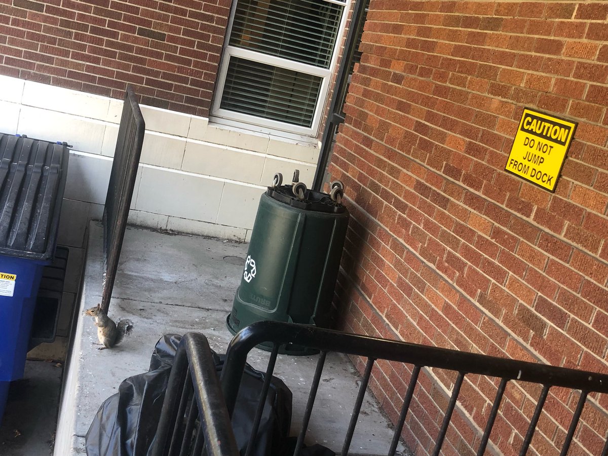 I’m feeling rebellious. Should I do it?