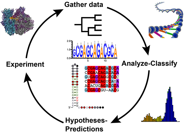 Otago Biochemistry tweet media