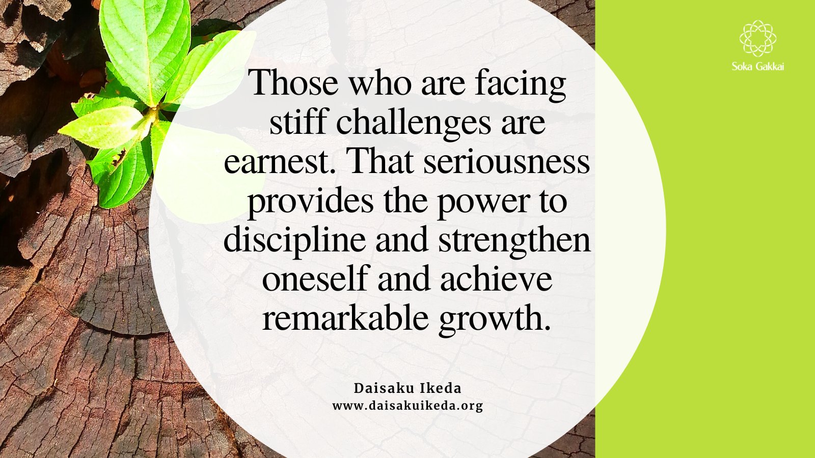 Daisaku Ikeda (Official) on X: 