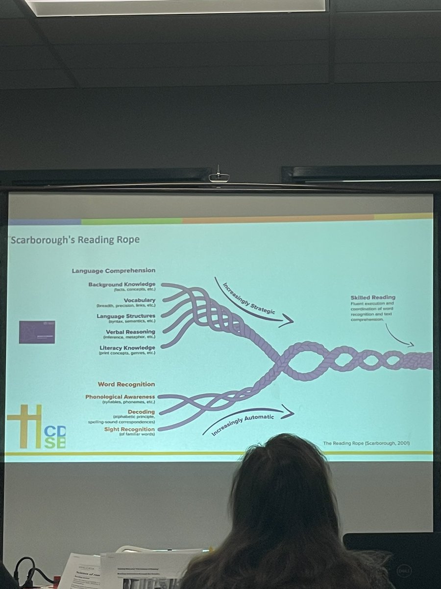 MrsWhaley_'s tweet photo. #Thankful for this opportunity to learn more about #ReadingInstruction and #TheScienceofReading with @HCDSB! Looking forward to incorporating these new practices and tools into my #GradeOne classroom this year. 💭👩🏻‍🏫📚 @HCDSB #HCDSBLearns #HCDSBLiteracy https://t.co/DdKlmQbImI