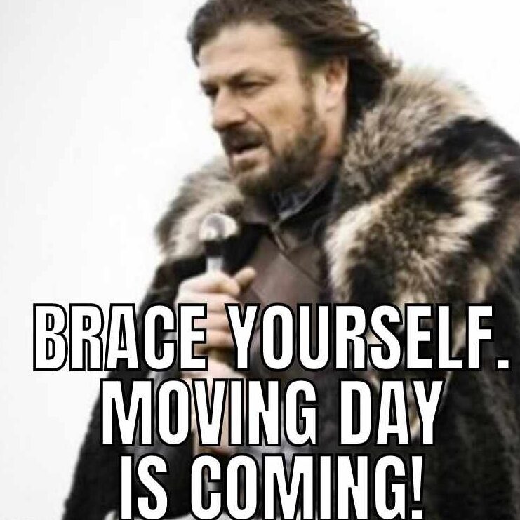 firststepmoving's tweet photo. Or sit back and watch us work our magic😇😇 #moveday #fsm https://t.co/uQoAMiebFy