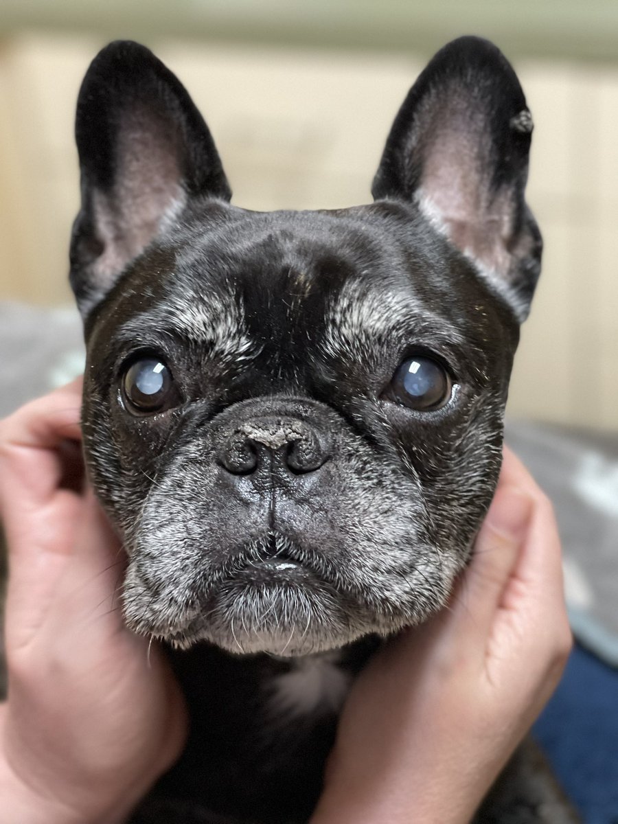 John Shields, MD, FAAOS tweet media