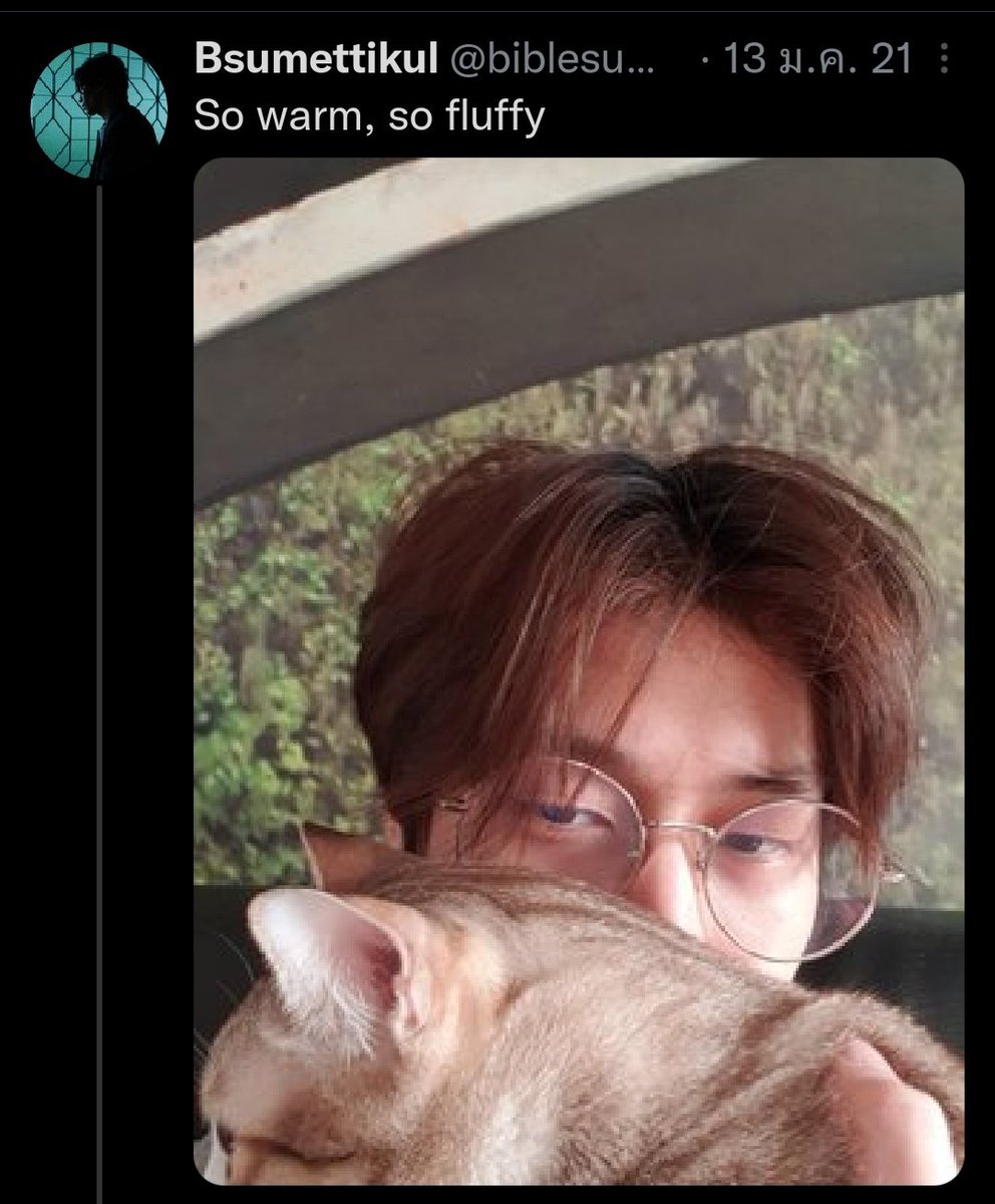 close tweet media