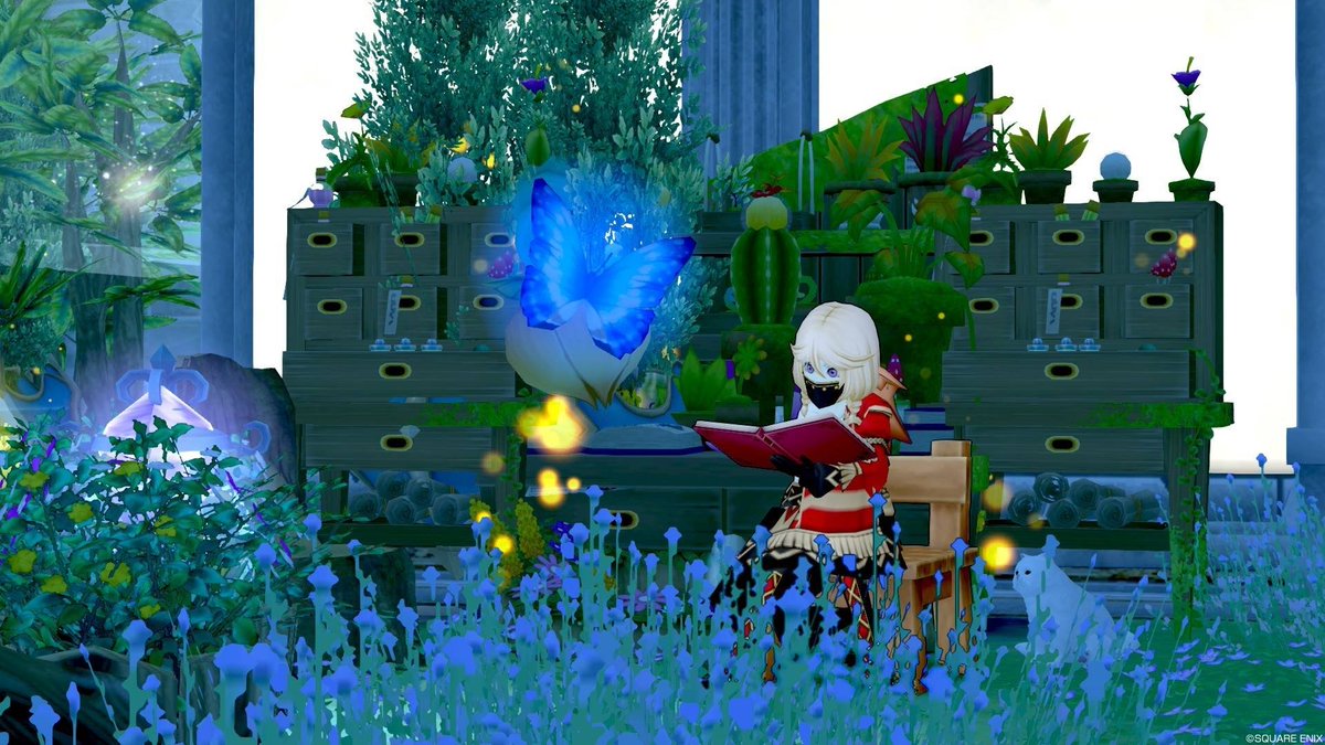 おはようございます(*´▽｀)ﾉﾉ
お久しぶりです(*´艸`*)
最近忙しくてドラクエは日課くらいしか出来てませんが私は元気です⋐(ల◕◡◕ల)⋑
もう少ししたらお仕事忙しく無くなる(予定)からそしたらいっぱいドラクエする（0゜・∀・）
今日も寒いけど頑張っていきましょーっヾ(*´∀｀*)ﾉｷｬｯｷｬ