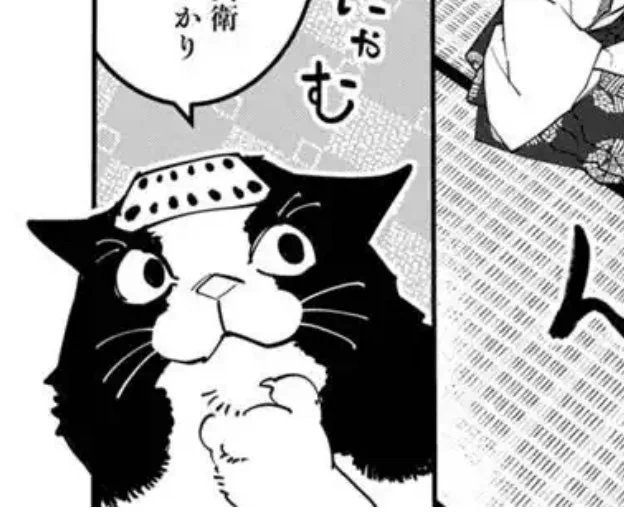 ハチワレ猫ちゃんも出てくるよ!🐈‍⬛ 