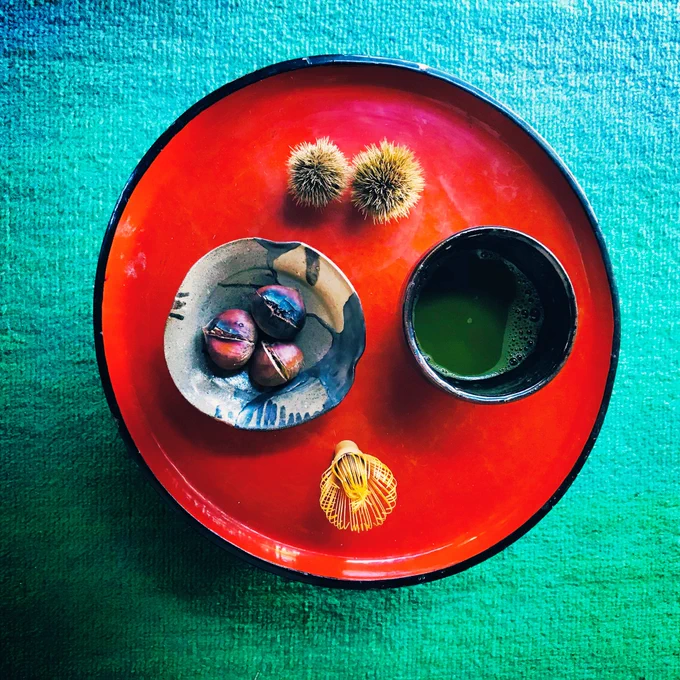 今年、はじめてお茶の苗木を植えてみたけど、何年かしたら茶葉も収穫できるだろうか…。 