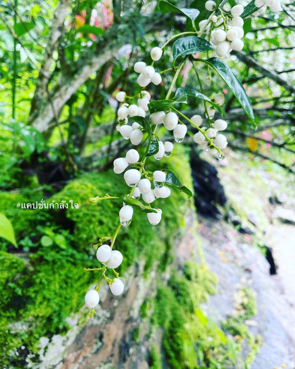 เวลา⏱️เดินหน้าทุกวัน..เพราะฉะนั้นอย่าเสียเวลาอยู่กับสิ่งที่ไม่ช่วยให้อะไรดีขึ้น✌🏻☺️

#แคปชั่นกำลังใจ #แคปชั่นโดนใจ #แคปชั่นเหงา #แคปชั่นเด็ด #แคปชั่นโดน #คำคมชีวิต #ชีวิตคิดบวก #คิดบวก #แคปชั่นความสุข #คำคม #ข้อคิดดีๆ #คำคมกวนๆ #แคปชั่นกวนๆ #ความรู้สึก