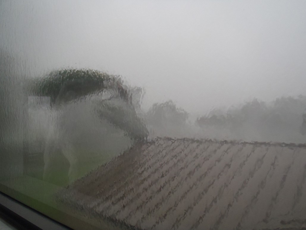 JannyWurts's tweet photo. Hurricane Ian, catagory 4 - photo of our place by @donmaitz - late afternoon before it got truly bad. The eye wall grazed us during the night. https://t.co/kjkefwwiJV