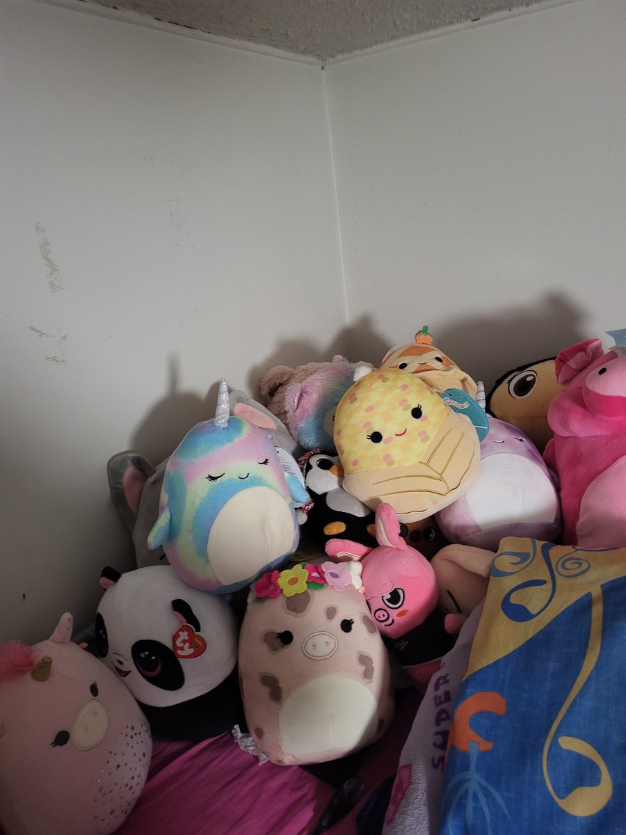 squishdoll1's tweet photo. https://t.co/ujp9SLVrOW