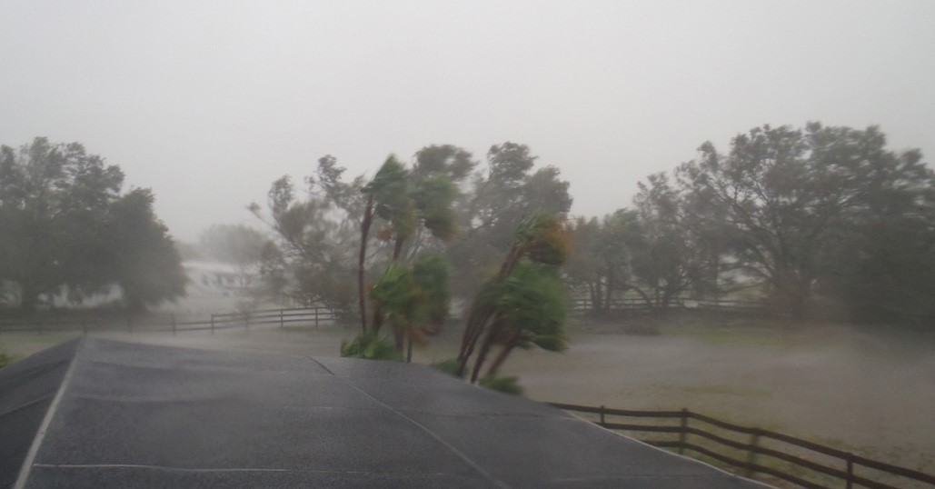 JannyWurts's tweet photo. Another afternoon shot of hurricane Ian at our place, during the day before it got truly bad. Photo by @DonMaitz  We do not flood here, but the rain came down so hard the pastures were a massive puddle. https://t.co/2Pcd7oJNkG