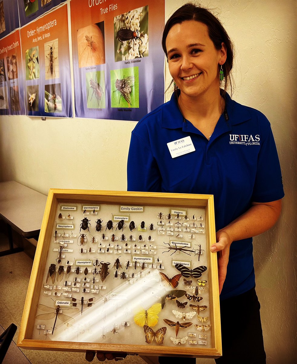 UFIFAS_IRREC's tweet photo. #4H brings opportunity and belonging to ALL kids. #OPPALL
Emily Le Falchier presents her insect collection as a #UF_ENT graduate student and #MinteerLab Manager at local 4-H Entomology workshop, at which she teaches 25 excited 4-H kids how to collect, pin and identify insects. https://t.co/kga7qpYEnI