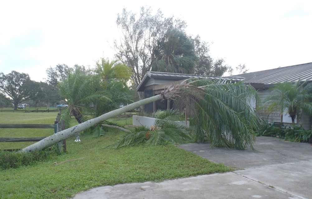 JannyWurts's tweet photo. Next morning after Hurricane Ian- all the water ran off, fortunately we had no structural damage. Only trees that can be righted. Photo by @DonMaitz https://t.co/6FxW1nMPu6