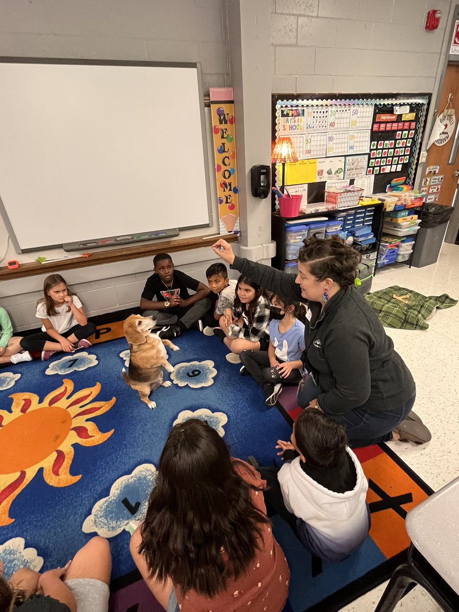 MrLeviSmith's tweet photo. @lufflions and @WaysideWaifs has a “Paws”itively perfect partnership. #luffpride leaders learned about responsibility, humane, integrity, compassion, and self-control with some of our favorite furry friends! #isdstrong https://t.co/hNZbCLwluz