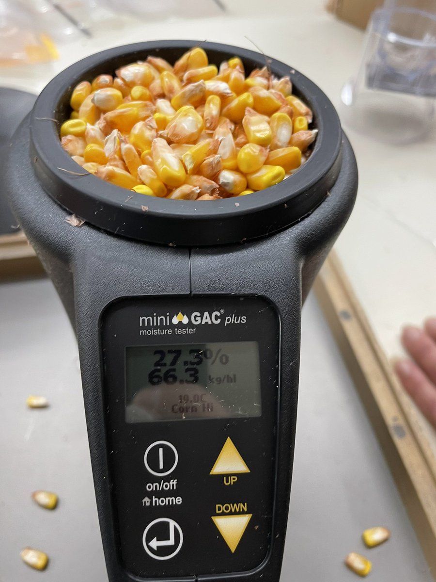 SarahStarratt's tweet photo. Absolutely love working where change and growth are supported and made a focus!!! #newtoag #alwayslearning #firstharvest #LearningAndDevelopment #supportiveteam #alwaysgrowing #nkcorn @NKSeedsCanada https://t.co/Tgx37xBpNo