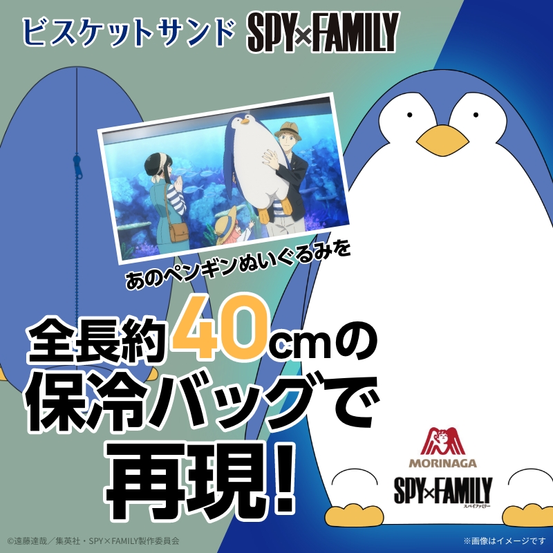 MorinagaIce's tweet photo. #ビスケットサンド と #SPY_FAMILY 
コラボを記念して
#ペンギン型保冷バッグ を抽選で1名様にプレゼント🎁🐧

<応募方法>
①@morinagaIceと@spyfamily_animeをフォロー
②このツイートをRTして応募完了‼
<締切>
2022年10月16日(日)23:59まで💡

🎯当選連絡はDMにて！