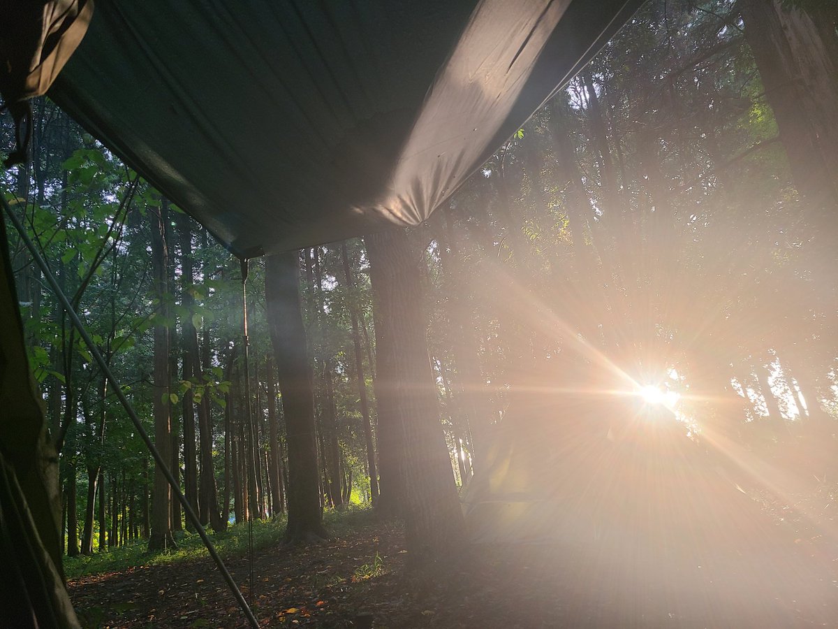 shika3beking's tweet photo. 初の雨キャンプ
片付けやその後が大変そうだけれど雨音が良いですねー
#キャンプ
#雨キャンプ
#キャンプ好きと繋がりたい 
#キャンプ好きな人と繋がりたい https://t.co/TsNUpAEICy